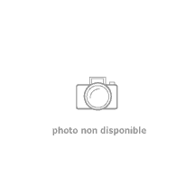 Unité extérieure multisplit R32-Split 3 Sorties Monophasé Pf 6,2 kW / Pc 7,3 kW A+++ / A++ Réf. MU3R21.U23